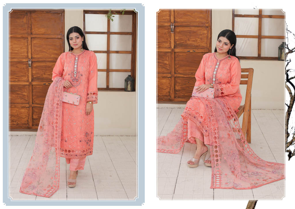 RUMMAN Luxury Embroidered Organza Semi-Stitched Collection With Clutch